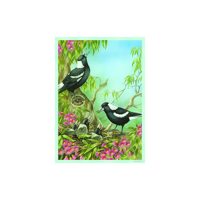 1000pc Puzzle | Shirley Barber | Australian Magpies