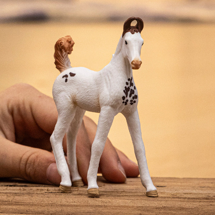 Schleich | Horse Club | Marwari Foal