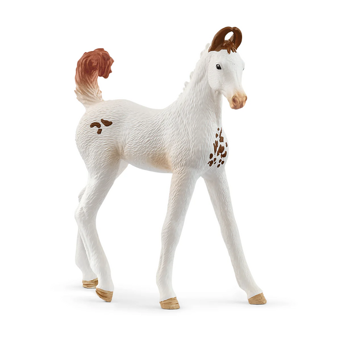 Schleich | Horse Club | Marwari Foal