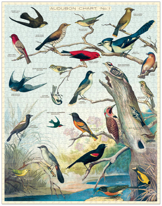 Cavallini 1000 pc Puzzle – Birds