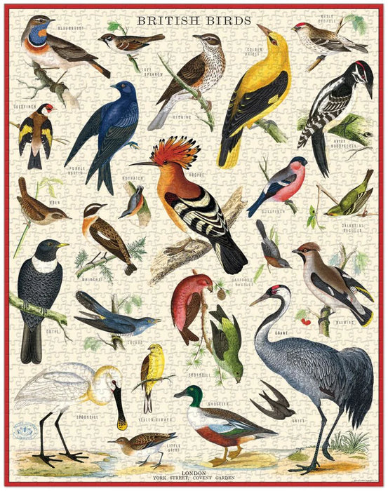Cavallini 1000 pc Puzzle – British Birds