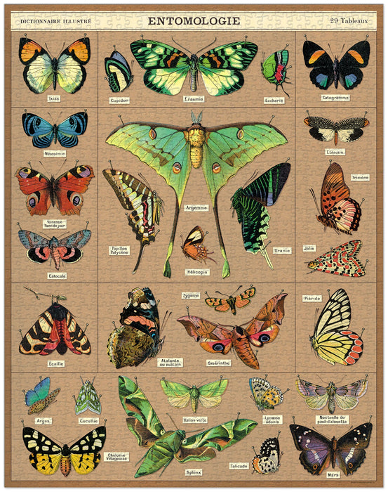 Cavallini 1000 pc Puzzle – Entomology