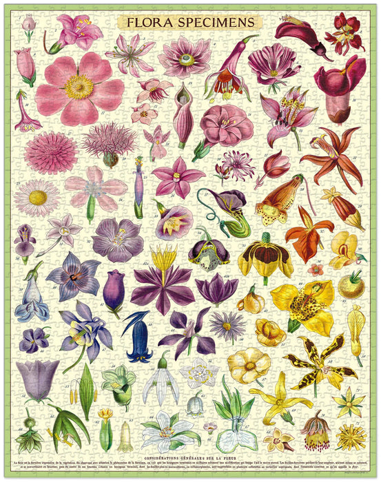 Cavallini 1000 pc Puzzle – Flora Specimens