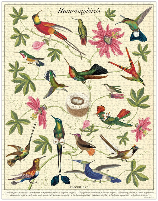 Cavallini 1000 pc Puzzle – Hummingbird