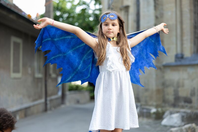 Celestial Dragon Jewel Soft Wings Size 4-6