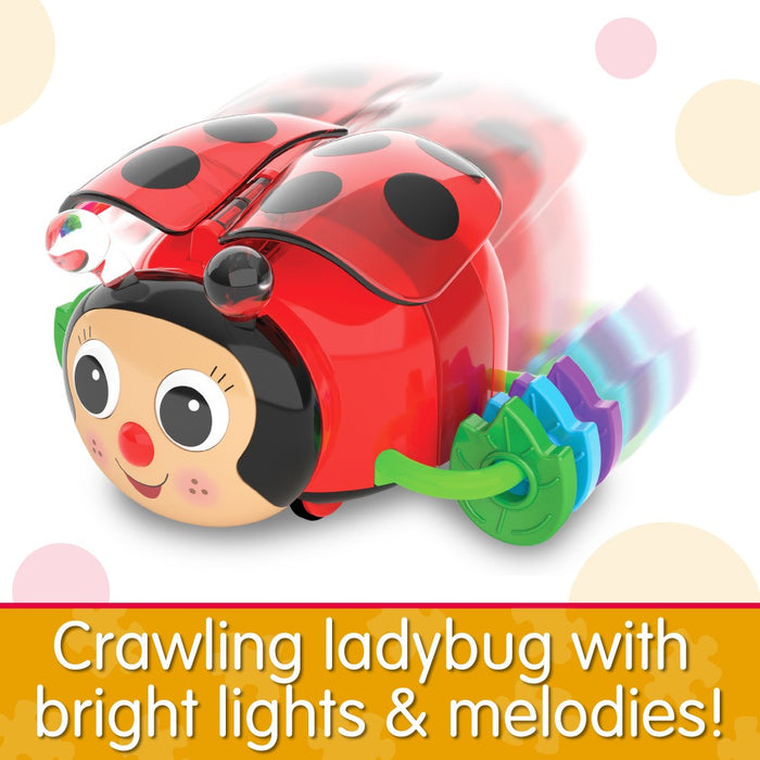 Crawl About Ladybug