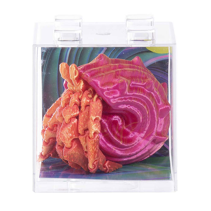 Discovery Zone - 3D Sensory SeaLife