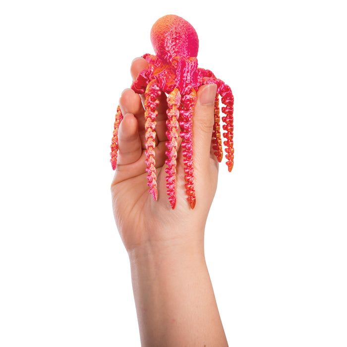 Discovery Zone - 3D Sensory SeaLife