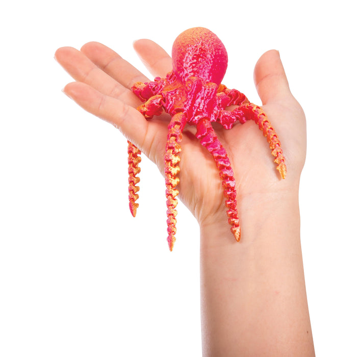 Discovery Zone - 3D Sensory SeaLife