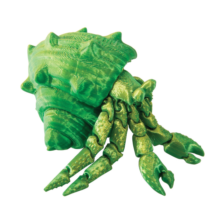 Discovery Zone - 3D Sensory SeaLife