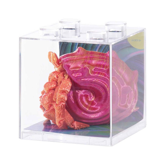 Discovery Zone - 3D Sensory SeaLife