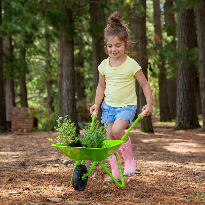 EverEarth | Wheelbarrow