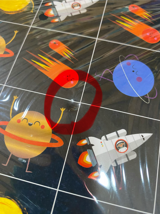 Mudpuppy | Bingo | Space