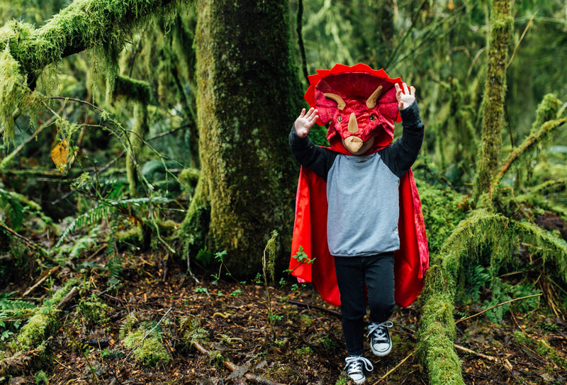 Cape | Red Triceratops