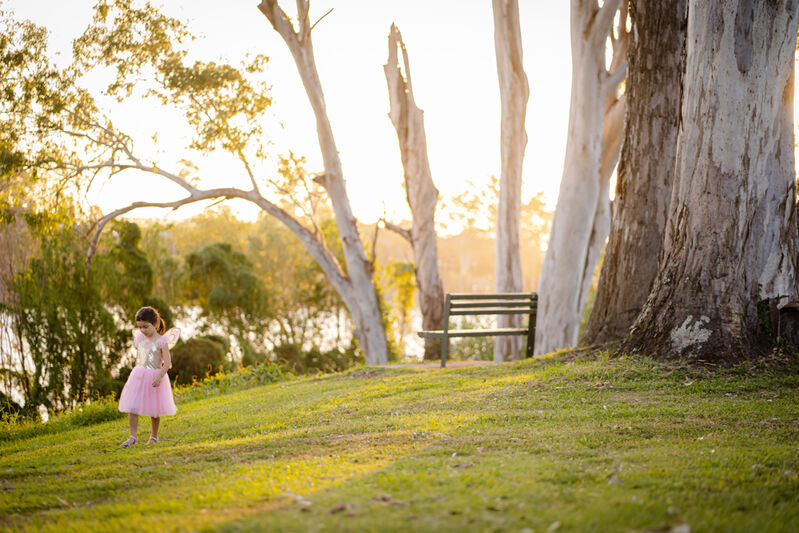 Gold Sequins Butterfly Dress & Wings