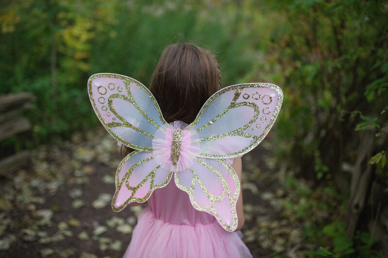 Gold Sequins Butterfly Dress & Wings