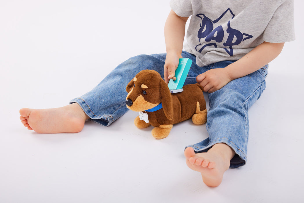 Hape | Puppy Care Clinic Vet Set