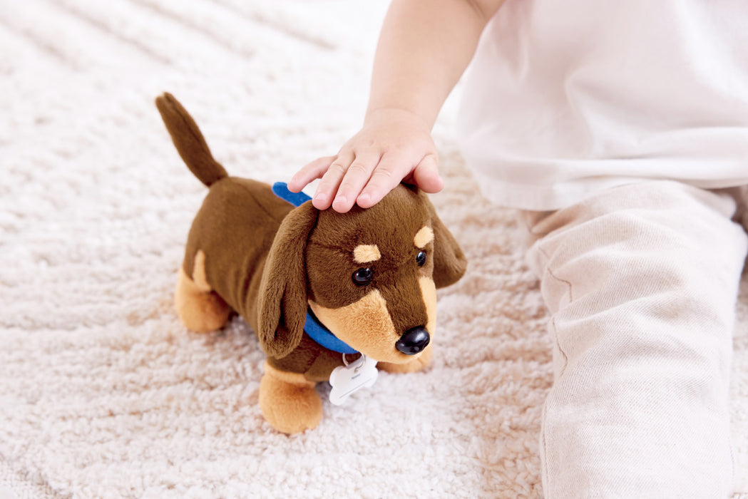 Hape | Puppy Care Clinic Vet Set