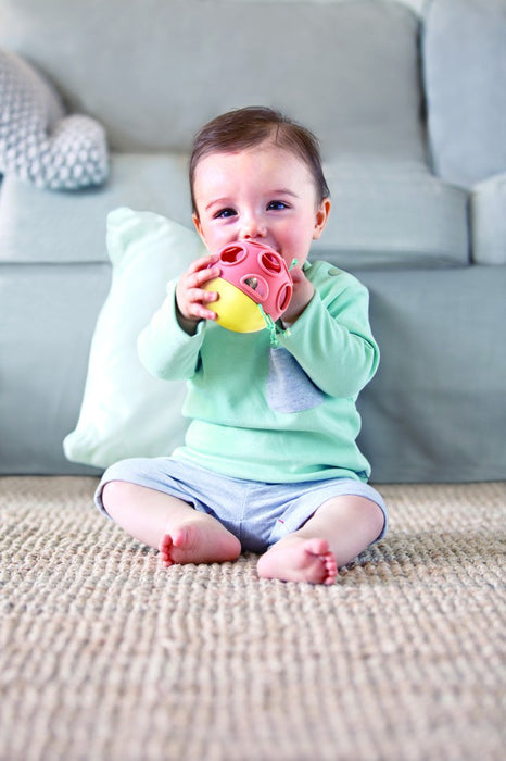 Hape | Busy Bug Roll