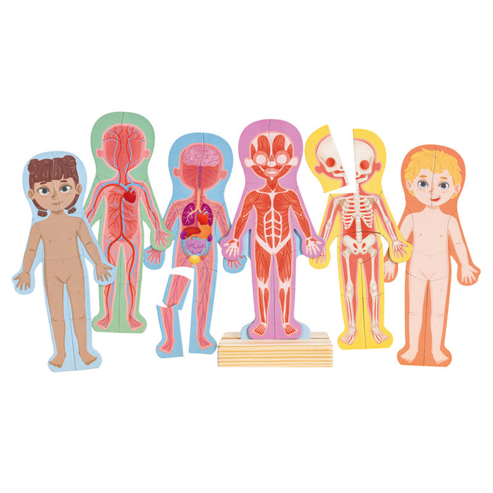 Hape | Human Body Magnetic Puzzle