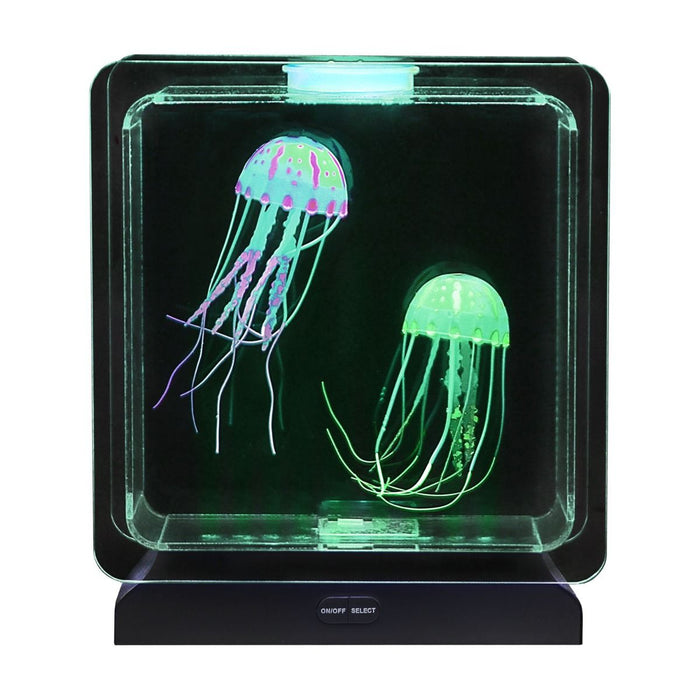 Jellyfish Clear Frame Lamp