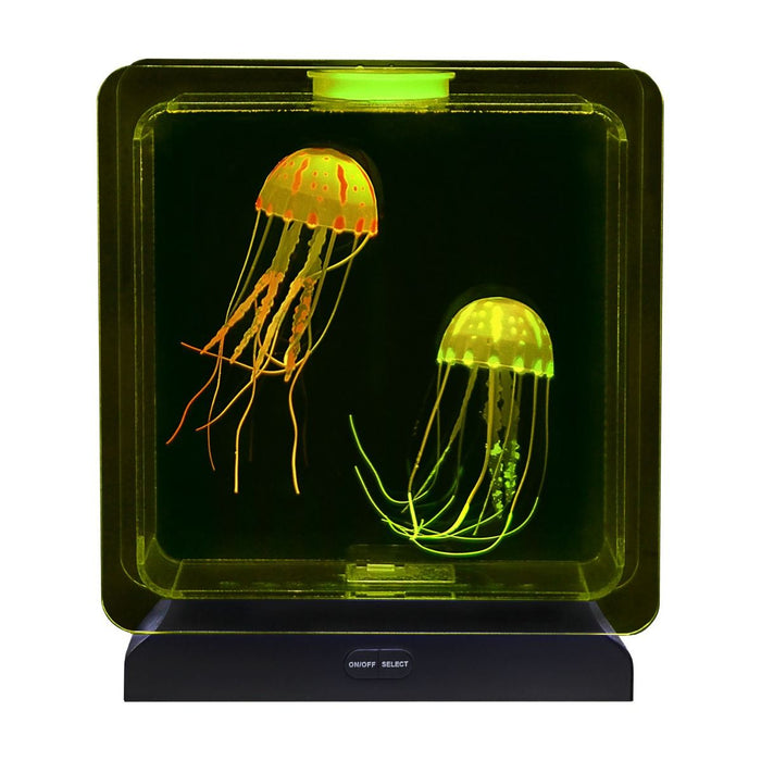 Jellyfish Clear Frame Lamp