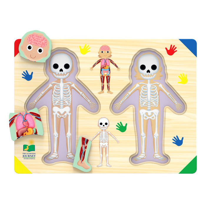 Lift & Learn | Inside of Me | Wooden Puzzle