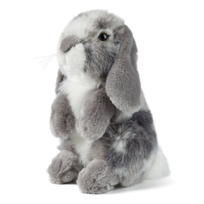 Living Nature | Grey Sitting Lop Eared Rabbit