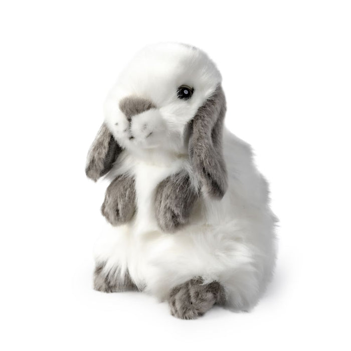Living Nature | Lop Eared Rabbit Grey