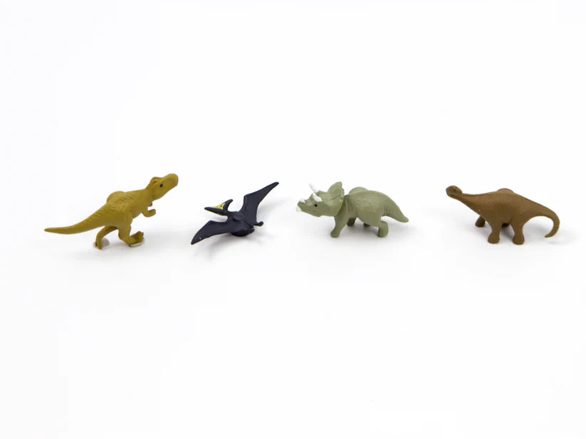 Mini Magnet Set | Dinosaur | 4 pack