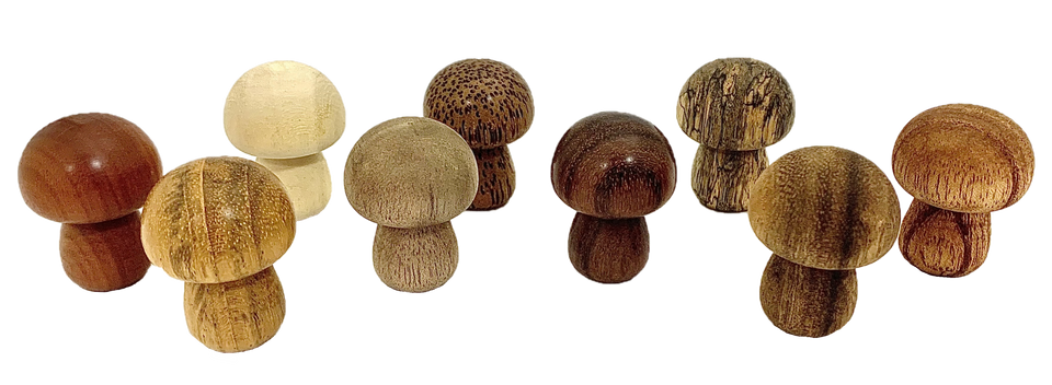 Mini Wooden Mushroom