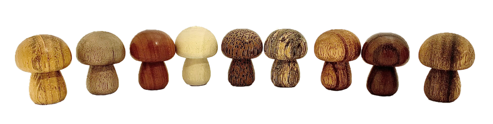 Mini Wooden Mushroom