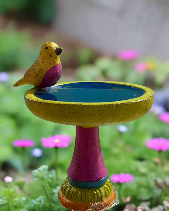 Mini Bird Bath