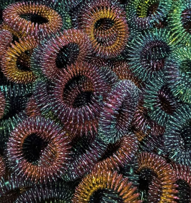 Kaiko Fidgets | Wrist Spikey - Oil Slick