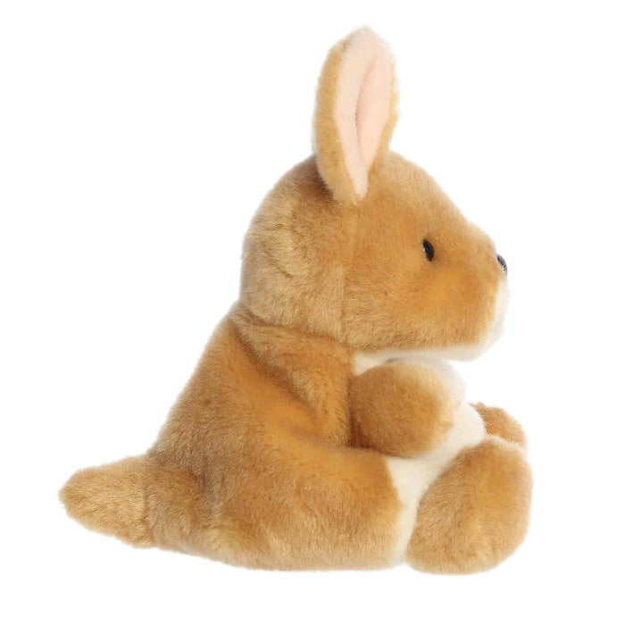 Palm Pals | Adelaide Kangaroo
