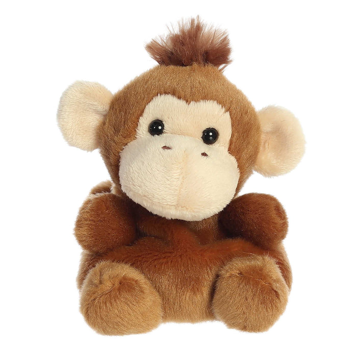 Palm Pals | Boomer Monkey