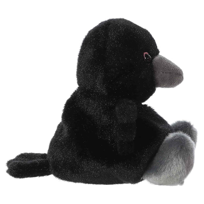 Palm Pals | Poe Raven