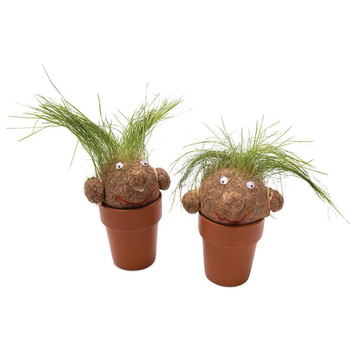 Pot Head | Grass Growing Head | Plant Head