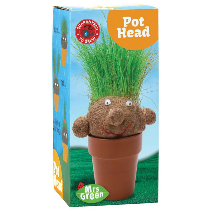 Pot Head | Grass Growing Head | Plant Head