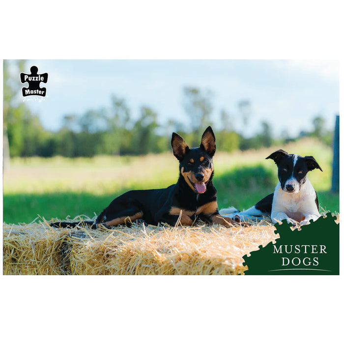 Puzzle Master Puzzle | 1000pc | Muster Dogs Best Mates