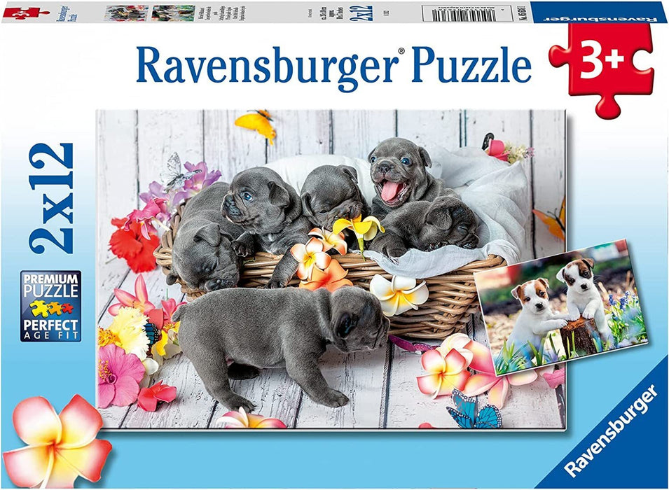 Ravensburger Puzzle 2x12pc Little Cute Furballs