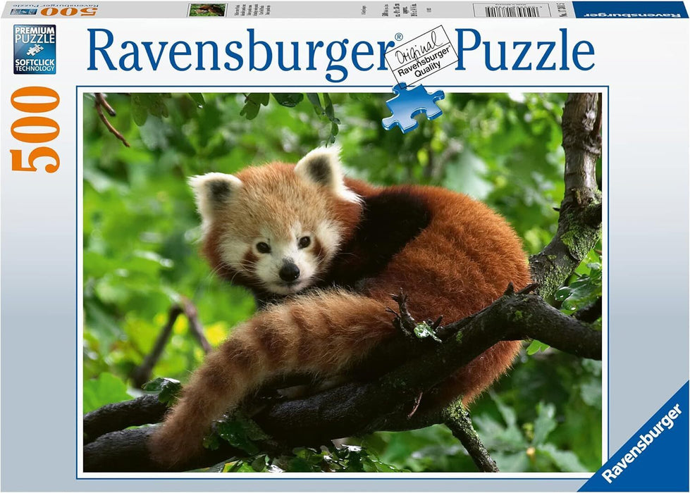 Ravensburger Puzzle | 500pc | Red Panda Photo