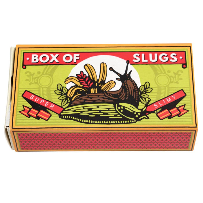 Rex London | Creepy Crawlies – Box of Two Slimy Slugs