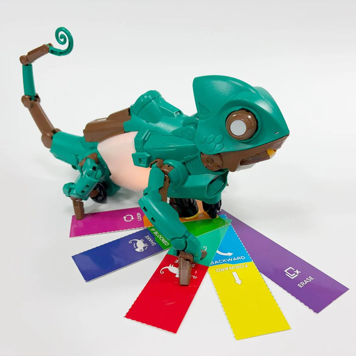 STEM | Kameo - DIY Colour Coding Chameleon