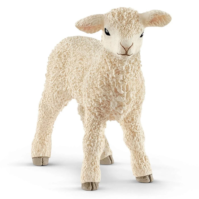 Schleich | Farm World | Lamb