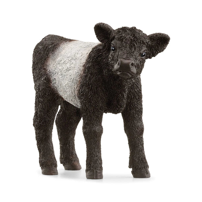 Schleich| Farm World | Galloway Calf