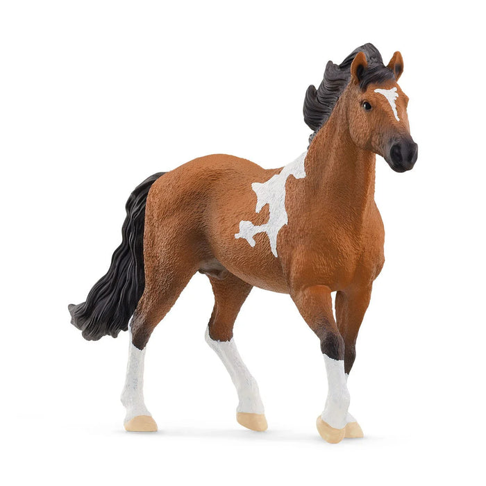 Schleich | Horse Club | Mangalarga Marchador Stallion