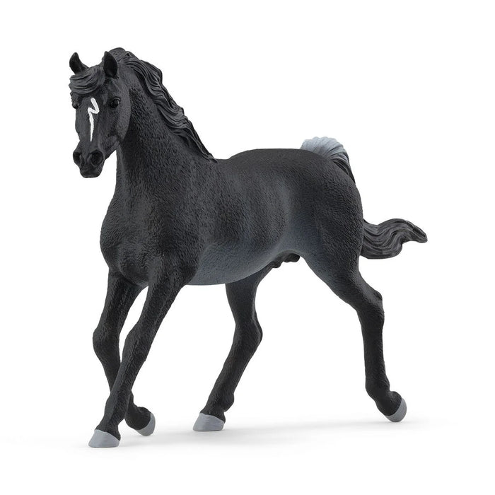 Schleich | Horse Club | Arabian Stallion