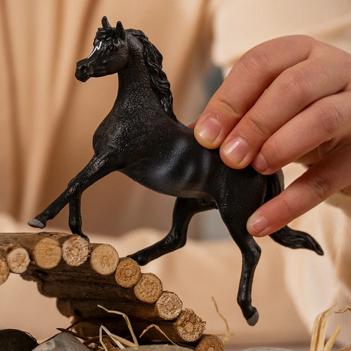 Schleich | Horse Club | Arabian Stallion