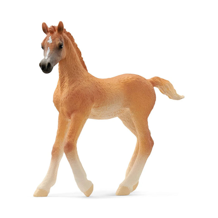 Schleich | Horse Club | Arabian Foal